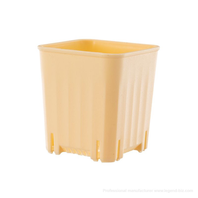  Pretty Square Multi Color Plastic Culture Pot For Cactus And Succulents