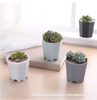  Thick Wall Octagonal Multi Color Chinese Plastic Culture Pot For Cactus And Succulents