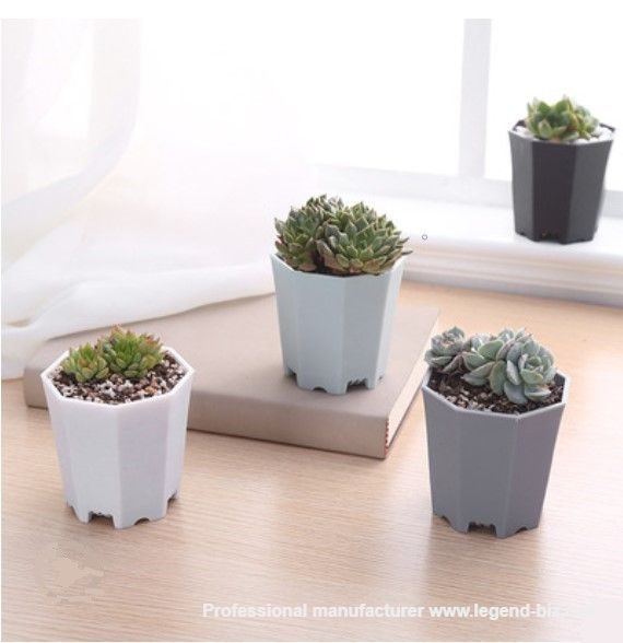  Thick Wall Octagonal Multi Color Chinese Plastic Culture Pot For Cactus And Succulents
