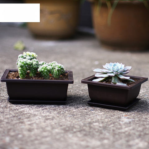  Bonsai Pot Succulent Flowerpot Traditional Tree Bonsai Pot 