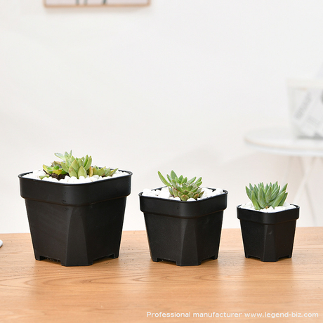 Thick Wall Nursery Pot Plastic Square Nursery Pot From Chinese Factory