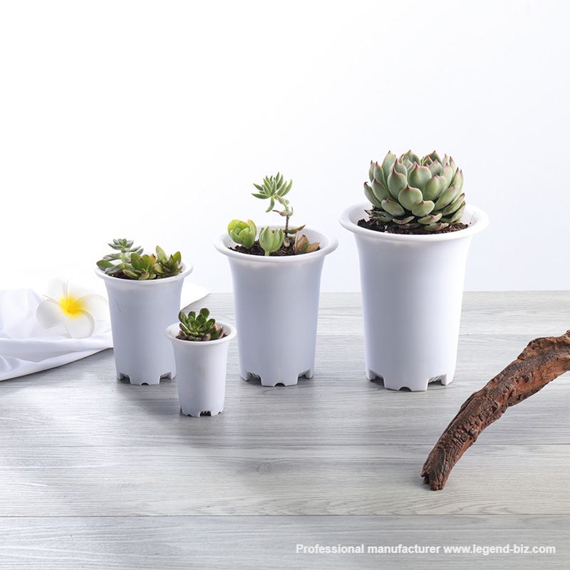  Thick Wall Round Multi Color Plastic Culture Pot For Cactus And Succulents