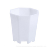  Thick Wall Octagonal Multi Color Chinese Plastic Culture Pot For Cactus And Succulents