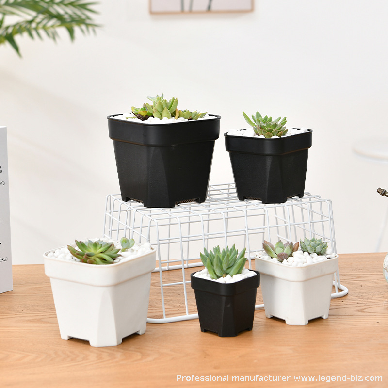 Thick Wall Nursery Pot Plastic Square Nursery Pot From Chinese Factory