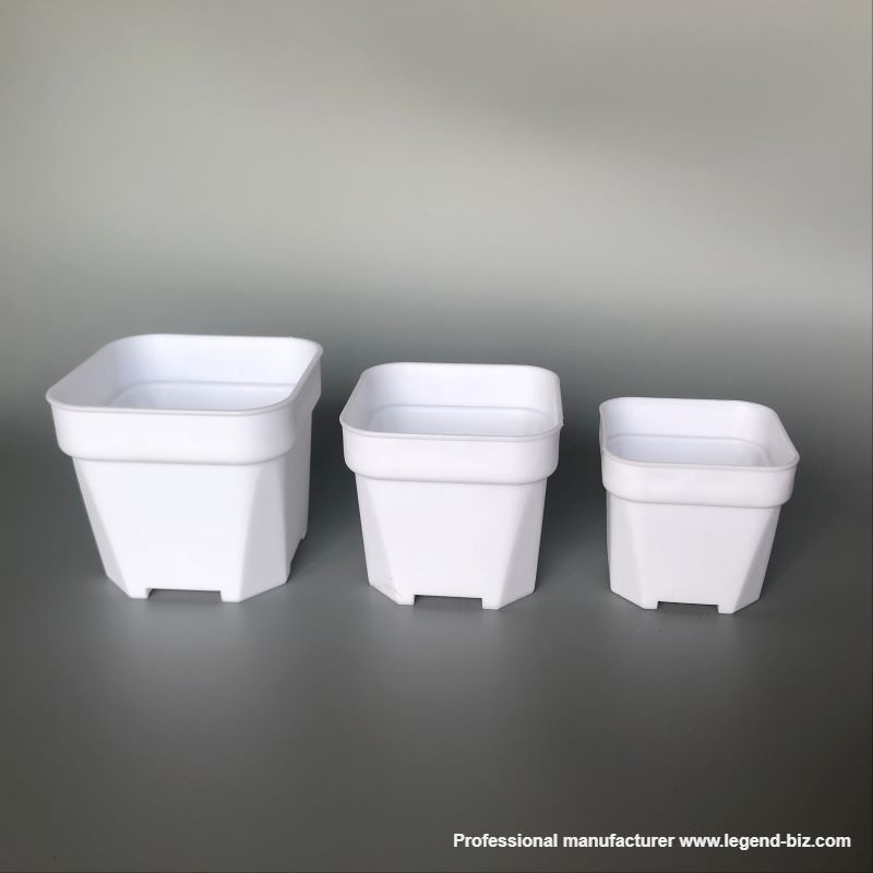 Cute Different Size Thick Wall Square Black And White Chinese Plastic Nursery Pot For Cactus And Succulents