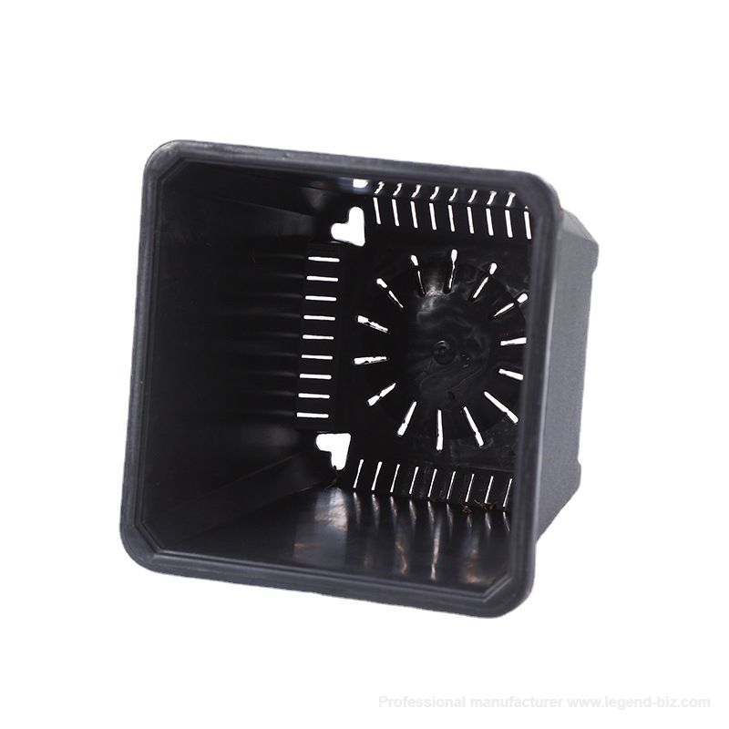 Multi Sizes Thick Wall Square Black Plastic Bonsai Pot With Tag Holes On Top