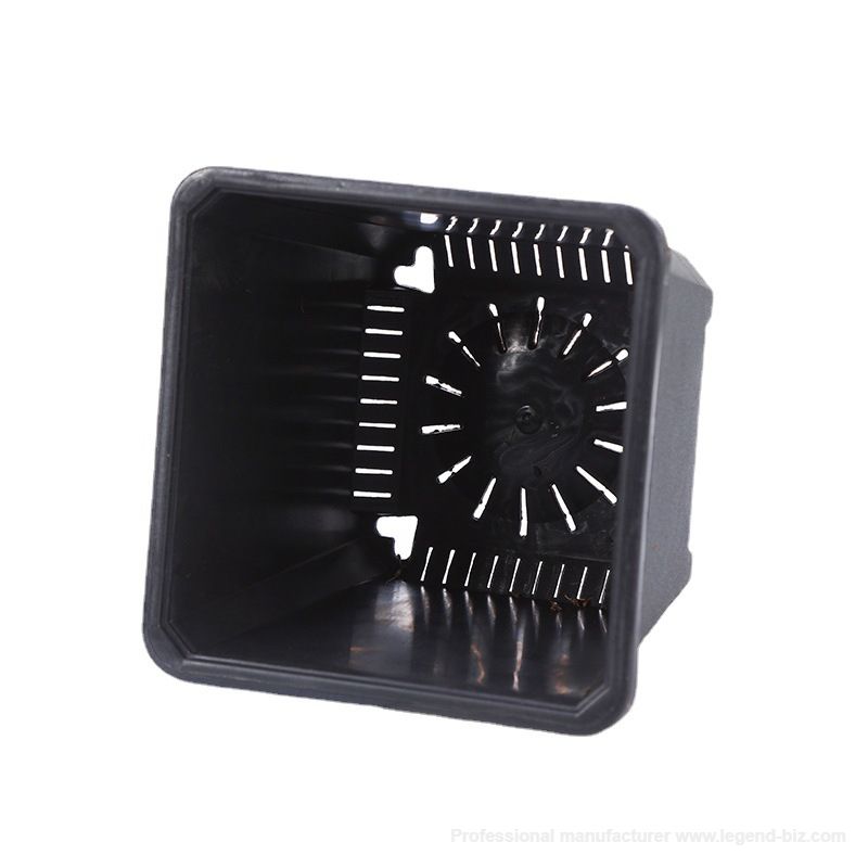 Multi Sizes Thick Wall Square Black Plastic Bonsai Pot With Tag Holes On Top