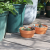Round Plastic Clay Flowerpot Succulent Planter Pots 