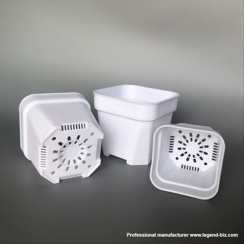 Cute Different Size Thick Wall Square Black And White Chinese Plastic Nursery Pot For Cactus And Succulents