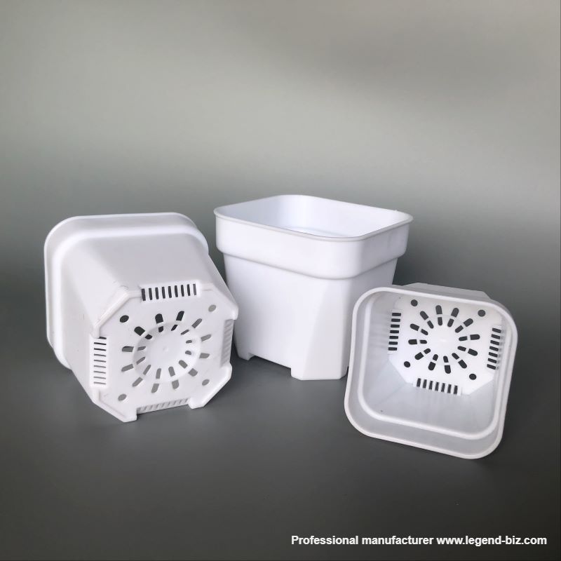 Cute Different Size Thick Wall Square Black And White Chinese Plastic Nursery Pot For Cactus And Succulents