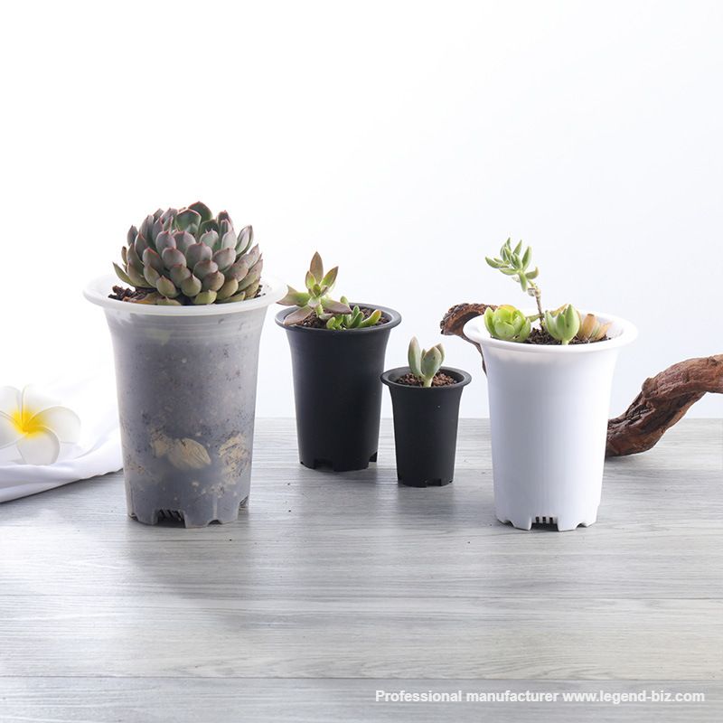  Thick Wall Round Multi Color Plastic Culture Pot For Cactus And Succulents