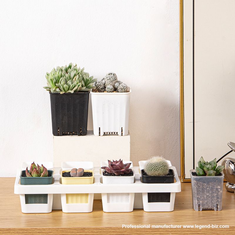  Pretty Square Multi Color Plastic Culture Pot For Cactus And Succulents