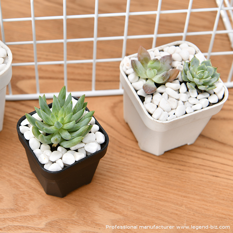 Thick Wall Nursery Pot Plastic Square Nursery Pot From Chinese Factory