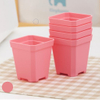 Colorful Mini Square Pot Plastic Nursery Pot for Small Succulent Plants