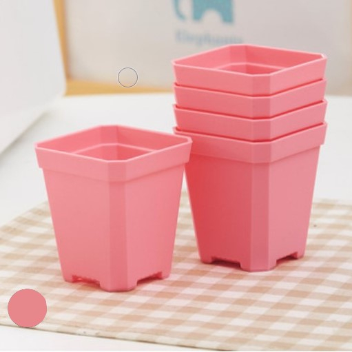 Colorful Mini Square Pot Plastic Nursery Pot for Small Succulent Plants