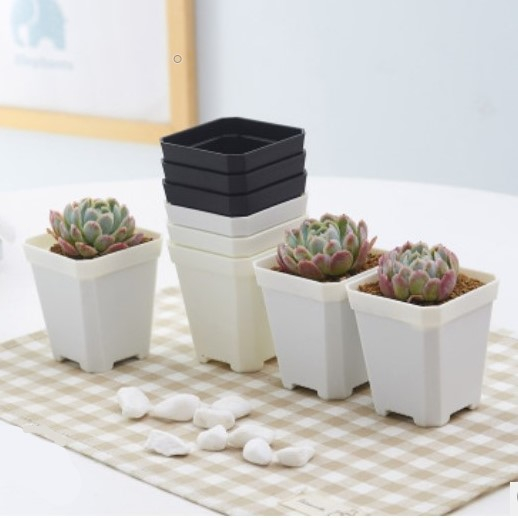 Colorful Mini Square Pot Plastic Nursery Pot for Small Succulent Plants