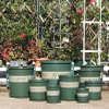 0.5gal,1gal,1.5gal, 2gal, 3gal, 5gal, 6gal, 7gal Plastic Nursery Pot Factory Directly Wholesale Gallon Pot