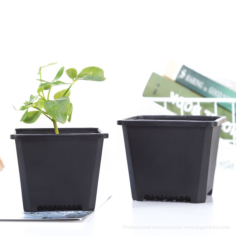 Multi Sizes Thick Wall Square Black Plastic Bonsai Pot With Tag Holes On Top