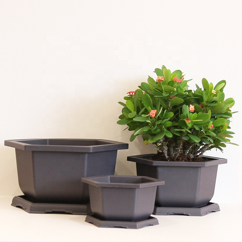 Hexagonal Bonsai Pots Succulent Planter Garden Pot