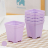 Colorful Mini Square Pot Plastic Nursery Pot for Small Succulent Plants