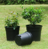 Black Gallon Pot Different Size Nursery Pot 0.5gal,1gal,3gal,5gal,7gal,10gal,15gal,20gal,25gal Pot