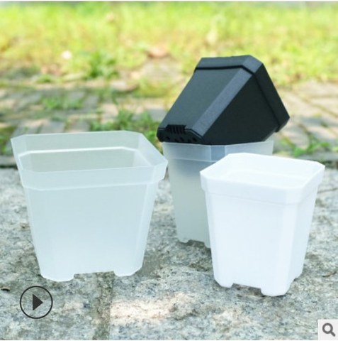 Colorful Mini Square Pot Plastic Nursery Pot for Small Succulent Plants