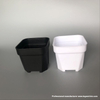 Cute Different Size Thick Wall Square Black And White Chinese Plastic Nursery Pot For Cactus And Succulents