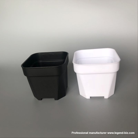 Cute Different Size Thick Wall Square Black And White Chinese Plastic Nursery Pot For Cactus And Succulents