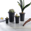  Thick Wall Round Multi Color Plastic Culture Pot For Cactus And Succulents