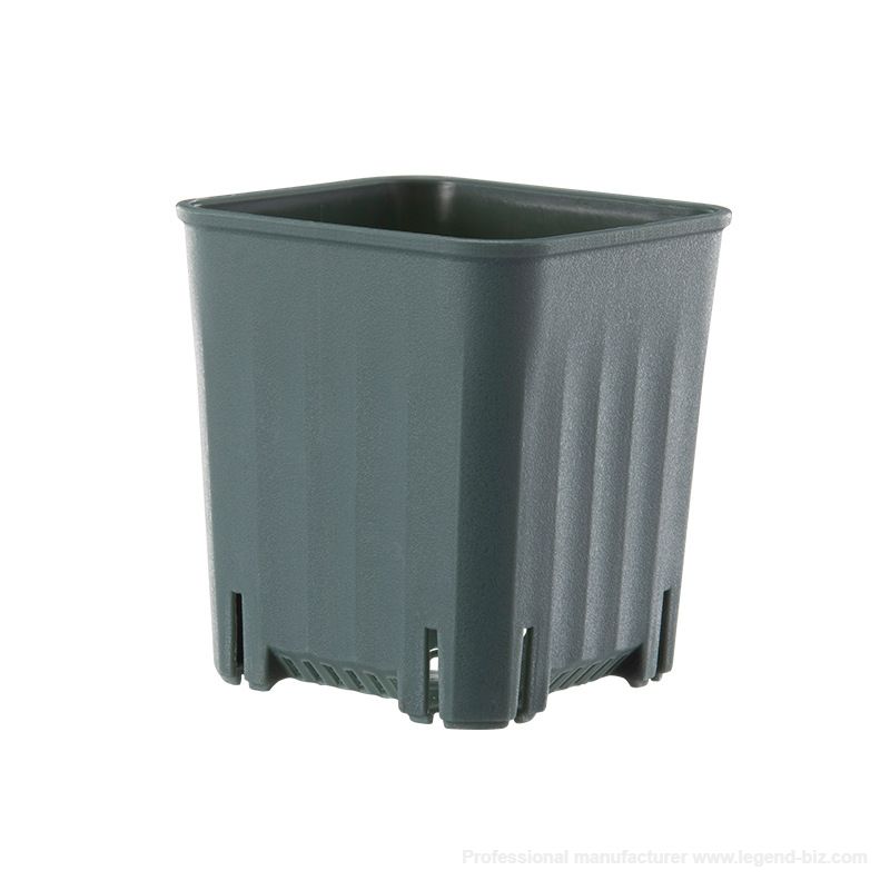  Pretty Square Multi Color Plastic Culture Pot For Cactus And Succulents